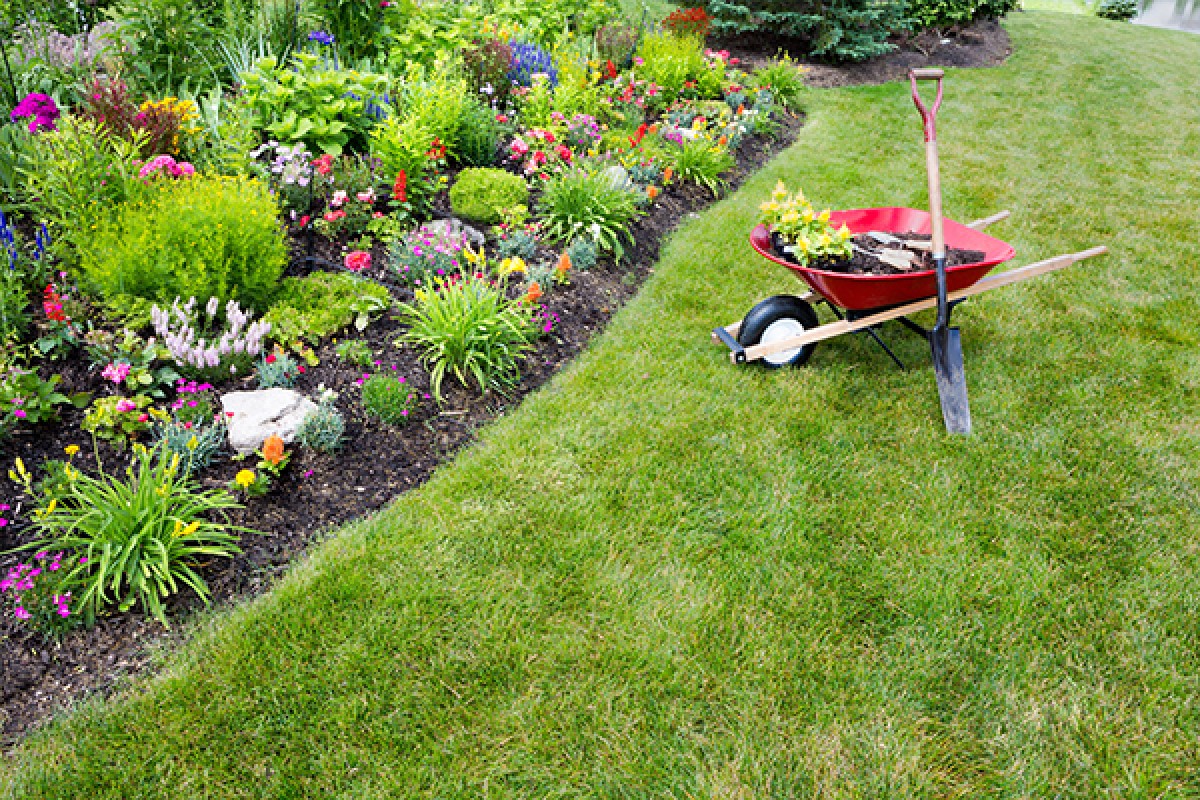 Landscaping East Texas